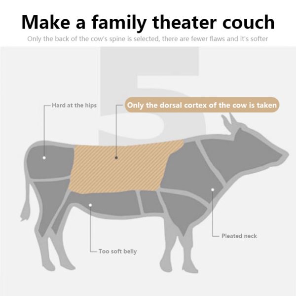 Modern Simple Head Cowhide Bed - Image 2